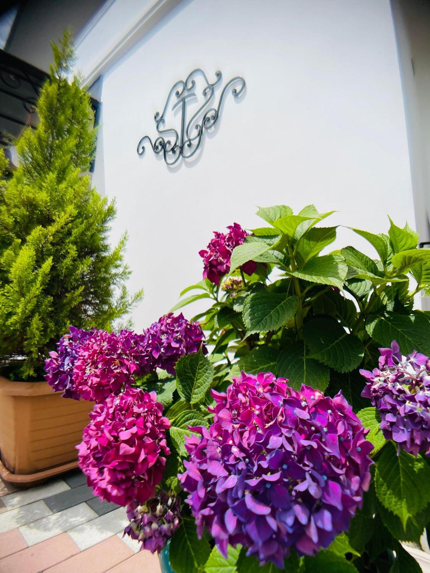 Hotel Tramonto Chakvi Exterior foto